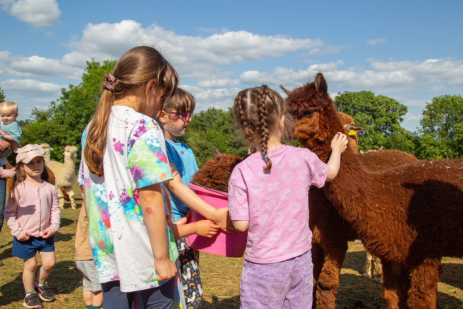 visitor centre at broadlands meadows farm