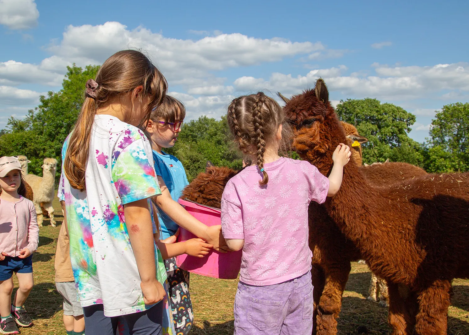 visitor centre at broadlands meadows farm